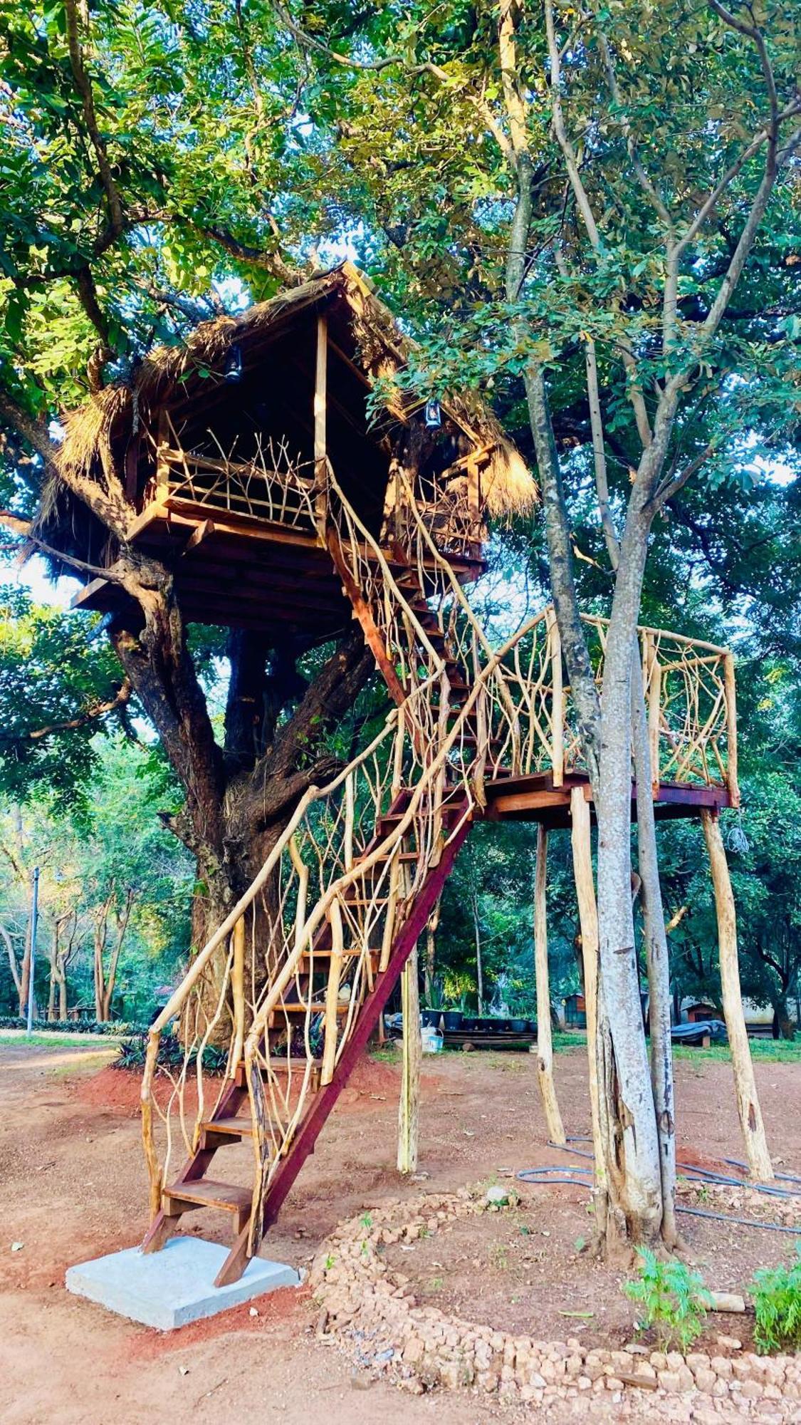 Ima Villa Sigiriya Eksteriør bilde